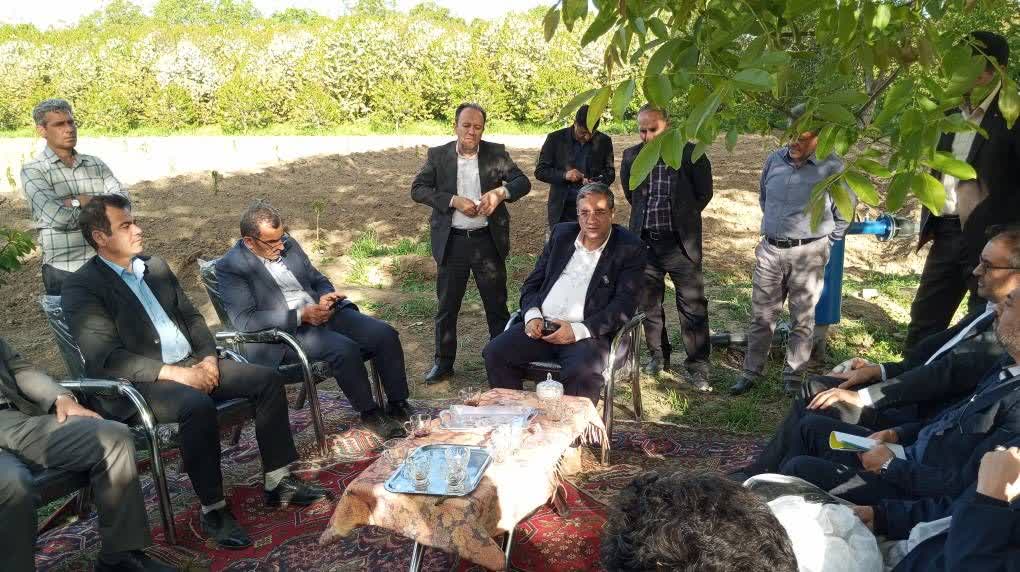 کاهش ۶۰ درصدی مصرف آب با هوشمندسازی آبیاری